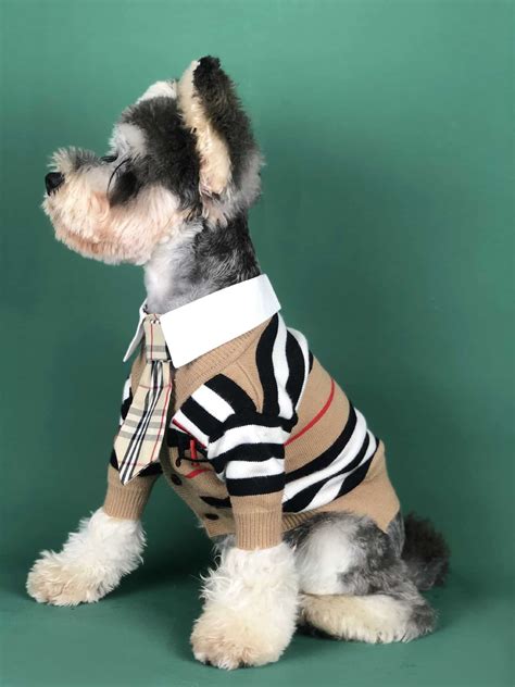 burberry sweater for dog|Amazon.com: Burberry Sweater For Dog.